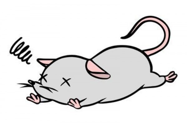ネズミ駆除を自力で行う方法を紹介！3つの代表的な駆除剤の特徴も解説します！