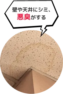 壁や天井にシミ、悪臭がする