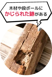 ハチやシロアリの巣がある