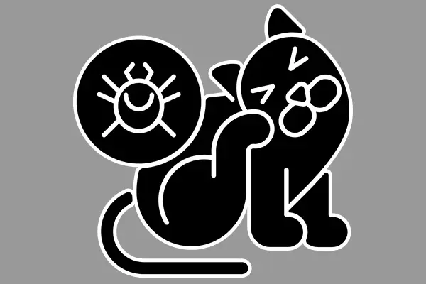 ダニ画像01